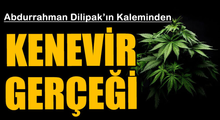 KENEVİR GERÇEĞİ