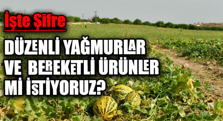 DÜZENLİ YAĞMURLAR ve BEREKETLİ ÜRÜNLER Mİ İSTİYORUZ?