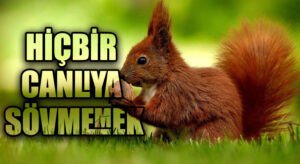 HİÇBİR CANLIYA SÖVMEMEK
