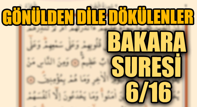 GÖNÜLDEN DİLE DÖKÜLENLER “KUR’AN’DA KAFİR VE MÜNAFIKLAR (BAKARA SURESİ 6/16)”