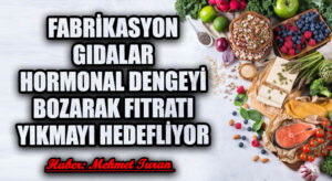 Fabrikasyon Gıdalar Hormonal Dengeyi Bozarak Fıtratı Yıkmayı Hedefliyor