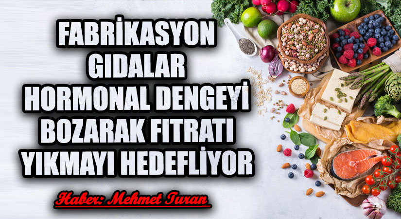 Fabrikasyon Gıdalar Hormonal Dengeyi Bozarak Fıtratı Yıkmayı Hedefliyor