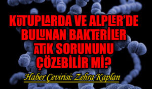 KUTUPLARDA VE ALPLER’DE BULUNAN BAKTERİLER ATIK SORUNUNU ÇÖZEBİLİR Mİ?