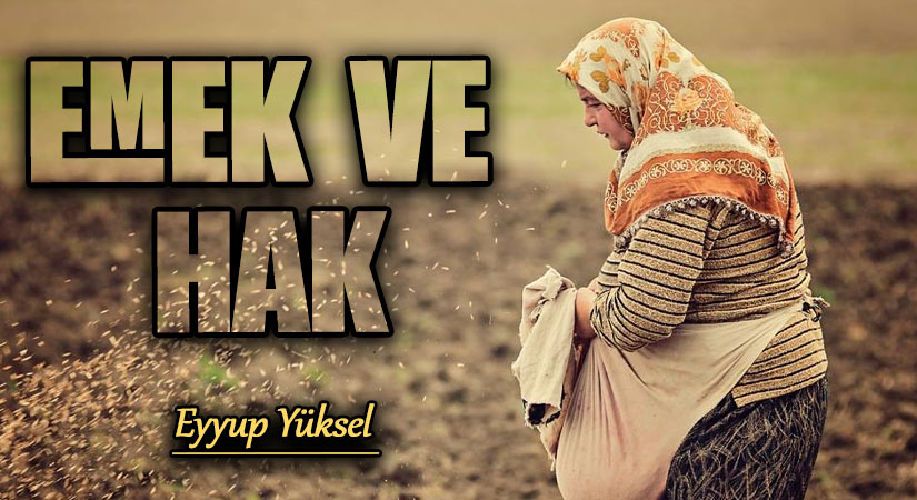 EMEK VE HAK        