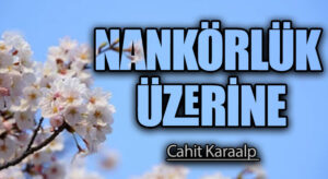 NANKÖRLÜK ÜZERİNE