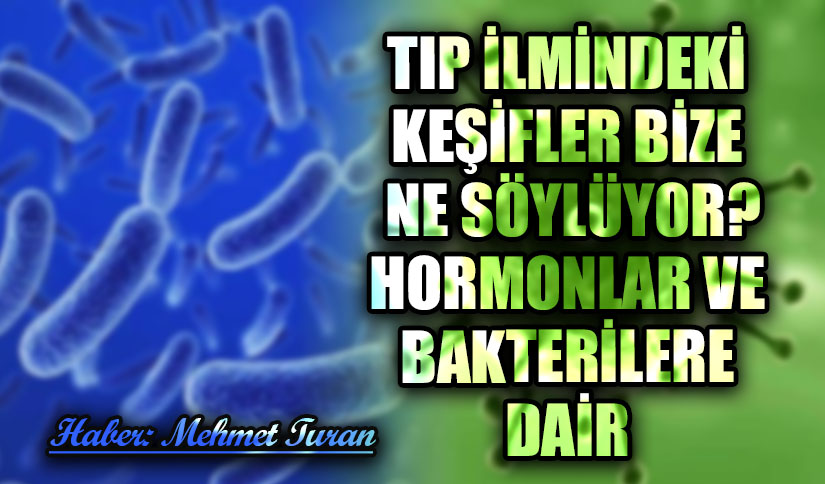 Tıp İlmindeki Keşifler Bize Ne Söylüyor: Hormonlar ve Bakterilere Dair