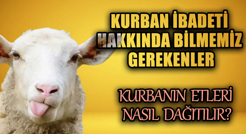 Kurbanın Etleri Nasıl Dağıtılır?