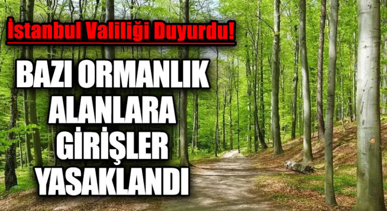 BAZI ORMANLIK ALANLARA GİRİŞLER YASAKLANDI