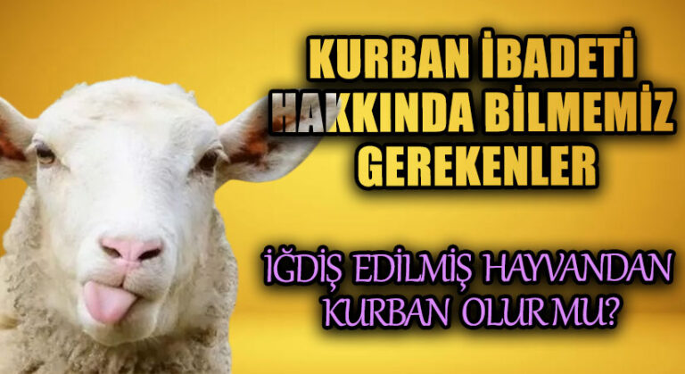 İğdiş Edilmiş Hayvandan Kurban Olur Mu?