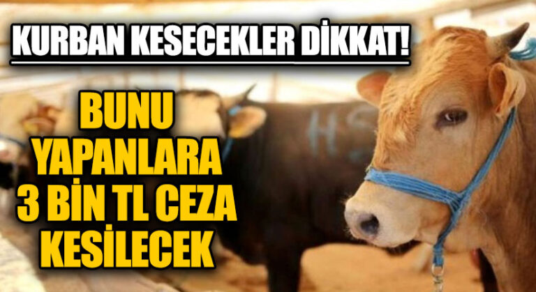 Çevre Kirliliğine Sebep Olanlara Sıkı Tedbirler Geliyor