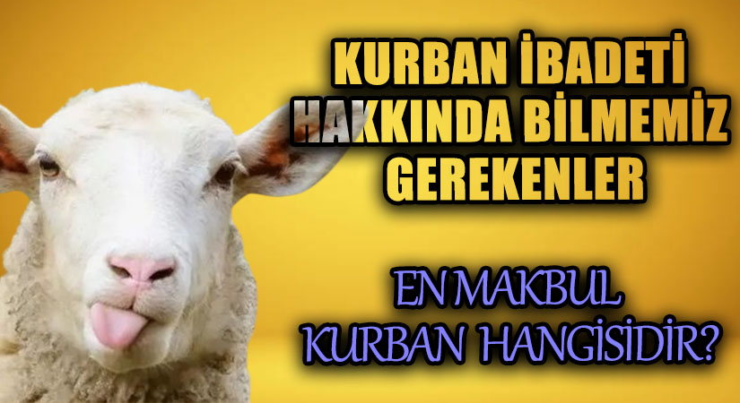 En Makbul Kurban Hangisidir?