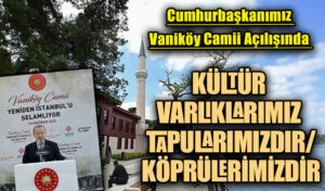KÜLTÜR VARLIKLARIMIZ TAPULARIMIZDIR/KÖPRÜLERİMİZDİR