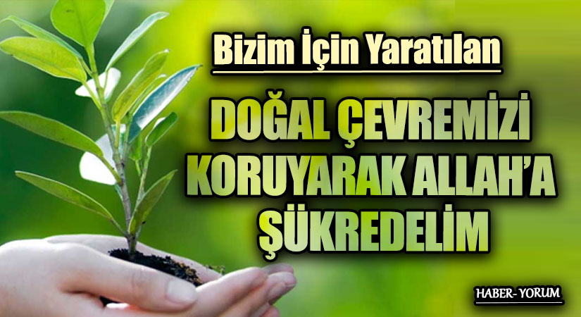 DOĞAL ÇEVREMİZİ KORUYARAK ALLAH’A ŞÜKREDELİM