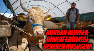 KURBAN ALIRKEN DİKKAT EDİLMESİ GEREKEN HUSUSLAR
