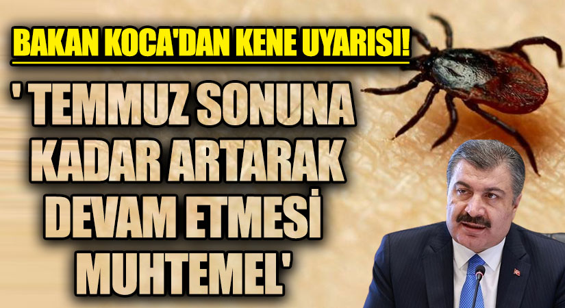 BAKAN KOCA’DAN O BÖLGEYE KENE UYARISI!