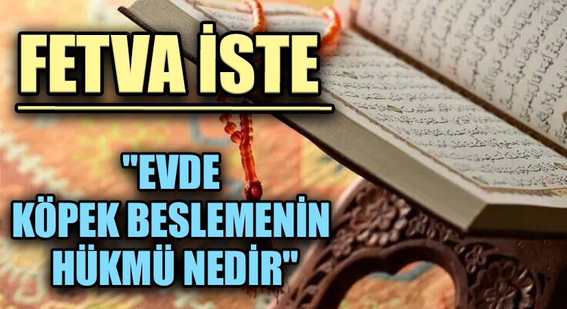 FETVA İSTE “EVDE KÖPEK BESLEMENİN HÜKMÜ NEDİR”
