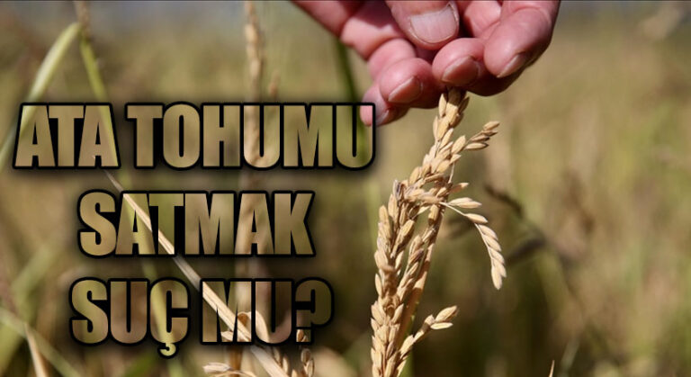 ATA TOHUMU SATMAK SUÇ MU?