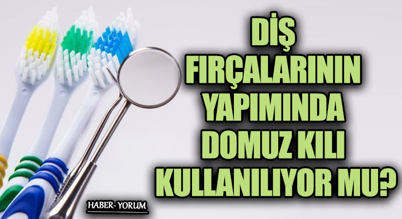 DİŞ FIRÇALARININ YAPIMINDA DOMUZ KILI KULLANILIYOR MU?