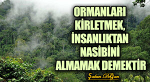 ORMANLARI KİRLETMEK, İNSANLIKTAN NASİBİNİ ALMAMAK DEMEKTİR