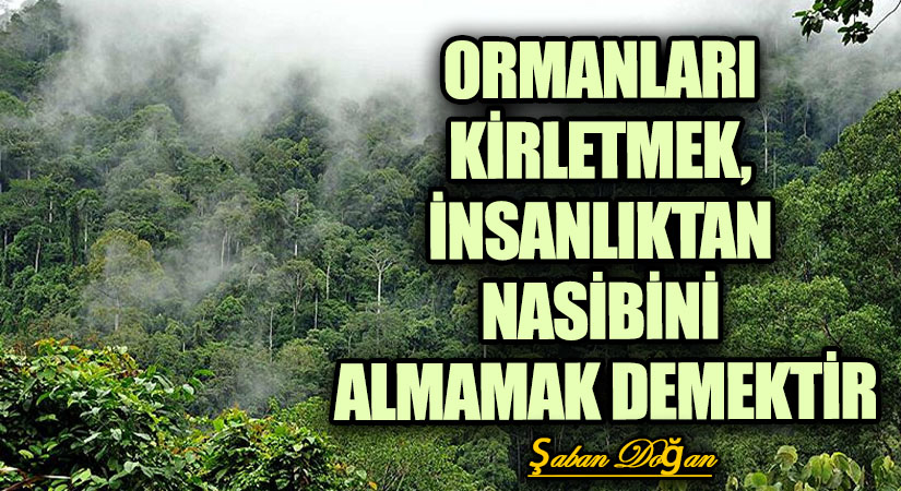 ORMANLARI KİRLETMEK, İNSANLIKTAN NASİBİNİ ALMAMAK DEMEKTİR