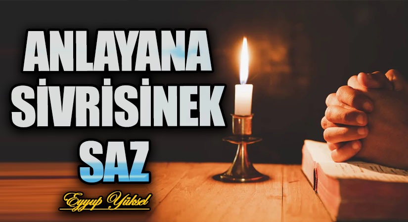 ANLAYANA SİVRİSİNEK SAZ
