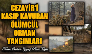 Cezayir’i Kasıp Kavuran Ölümcül Orman Yangınları