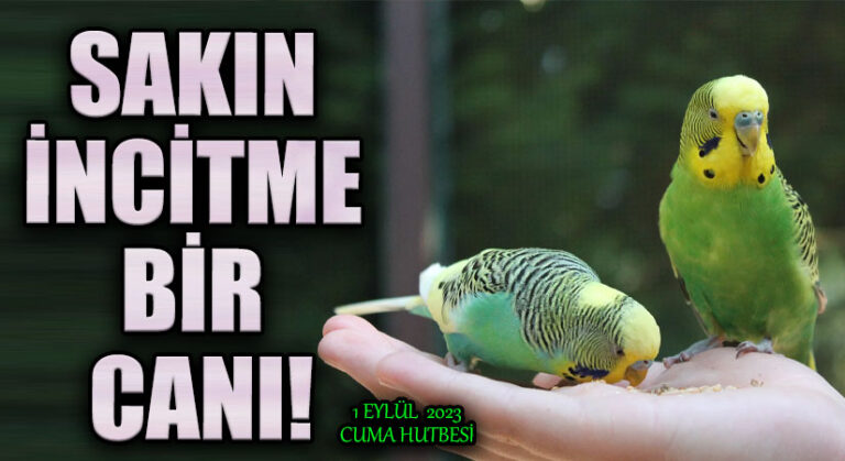 SAKIN İNCİTME BİR CANI!