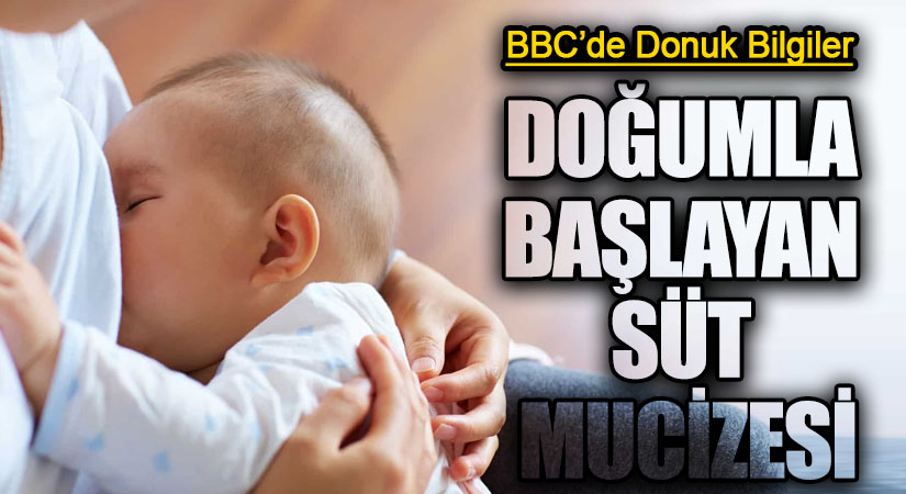 DOĞUMLA BAŞLAYAN SÜT MUCİZESİ