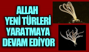 ALLAH YENİ TÜRLERİ YARATMAYA DEVAM EDİYOR