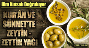 KUR’ÂN VE SÜNNET’TE  ZEYTİN – ZEYTİN YAĞI