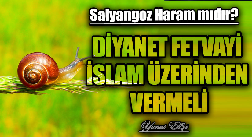 DİYANET FETVAYİ İSLAM ÜZERİNDEN VERMELİ