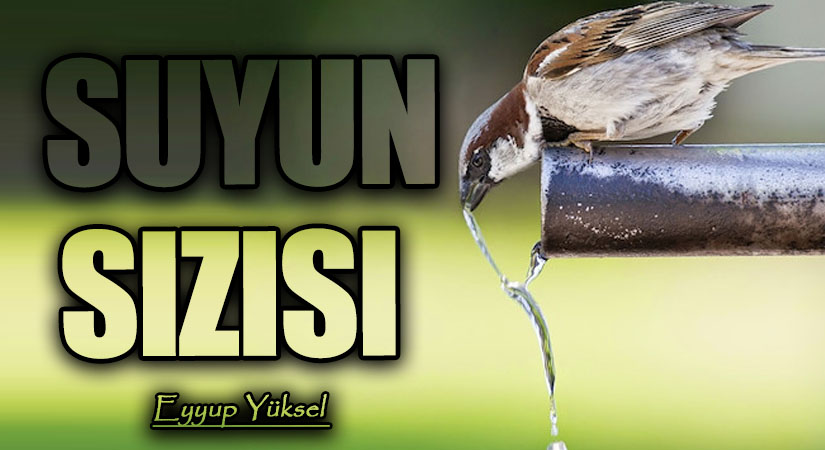 SUYUN SIZISI      