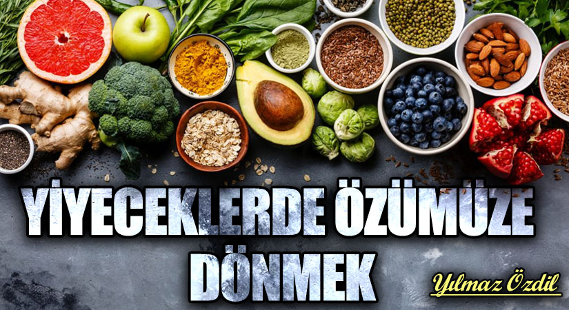 YİYECEKLERDE ÖZÜMÜZE DÖNMEK