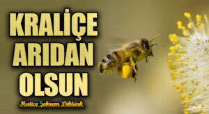 KRALİÇE ARIDAN OLSUN