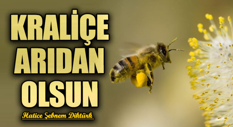 KRALİÇE ARIDAN OLSUN | VİDEO