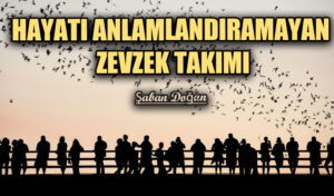 HAYATI ANLAMLANDIRAMAYAN ZEVZEK TAKIMI