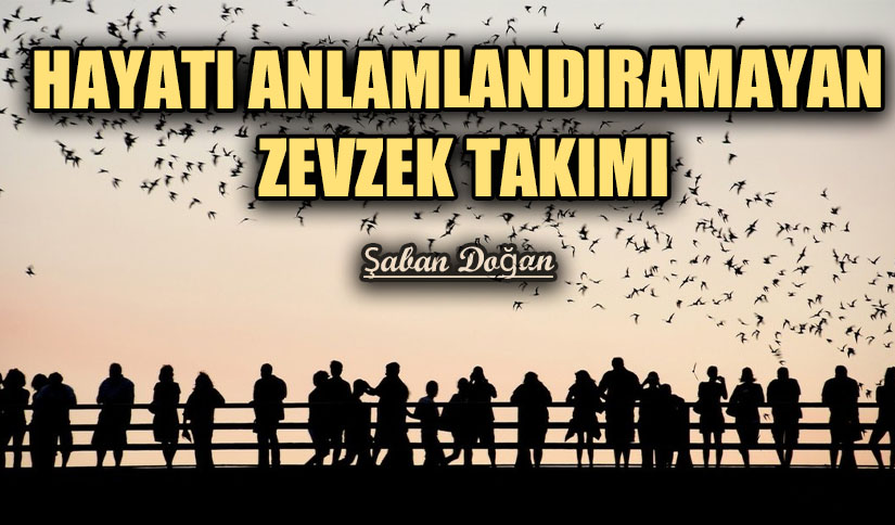 HAYATI ANLAMLANDIRAMAYAN ZEVZEK TAKIMI