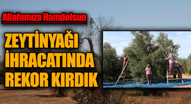 ZEYTİNYAĞI İHRACATINDA REKOR KIRDIK