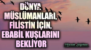 DÜNYA MÜSLÜMANLARI, FİLİSTİN İÇİN EBABİL KUŞLARINI BEKLİYOR