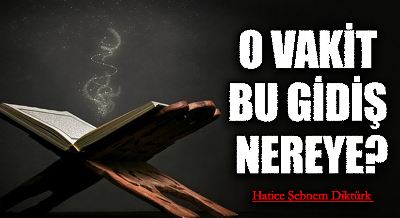 O VAKİT BU GİDİŞ NEREYE?