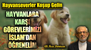 HAYVANLARA KARŞI GÖREVLERİMİZİ İSLAM’DAN ÖĞRENELİM