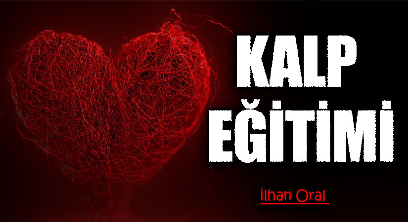 KALP EĞİTİMİ | 4
