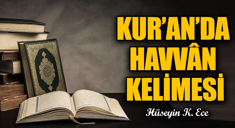 KUR’AN’DA HAVVÂN KELİMESİ