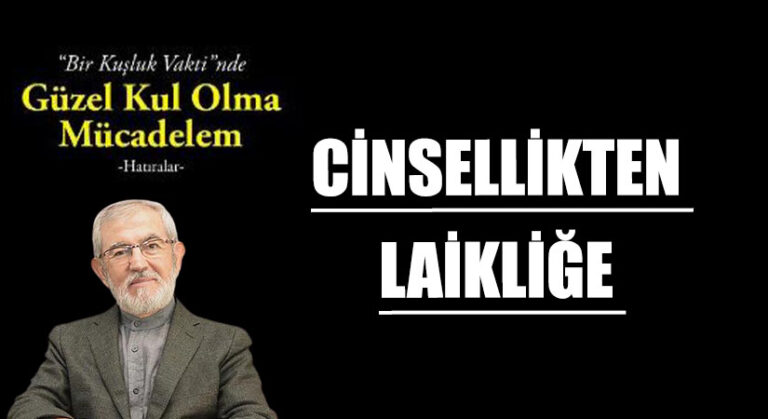 CİNSELLİKTEN LAİKLİĞE