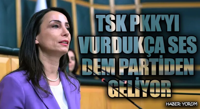 DEM PARTİ