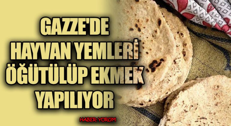 Gazze’de Hayvan Yemleri Öğütülüp Ekmek Yapılıyor