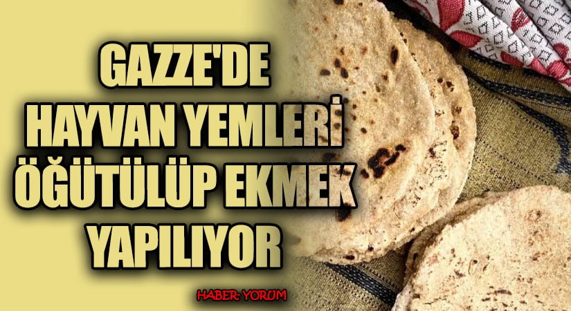 Gazze’de Hayvan Yemleri Öğütülüp Ekmek Yapılıyor