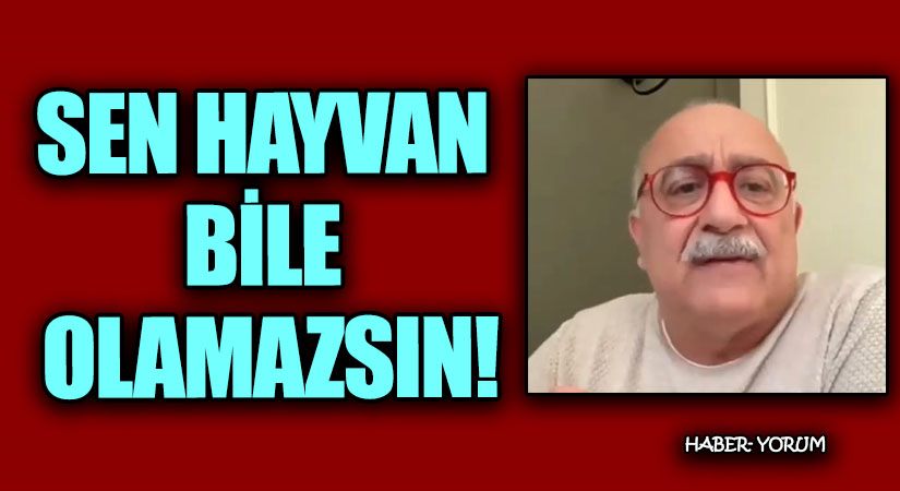 SEN HAYVAN BİLE OLAMAZSIN!