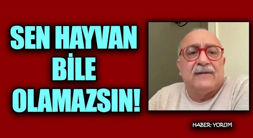 HAYVAN