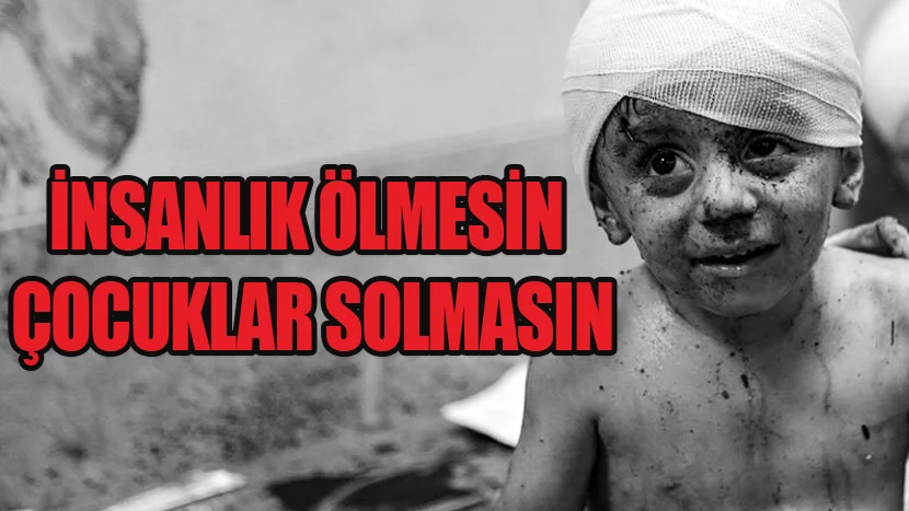 İnsan